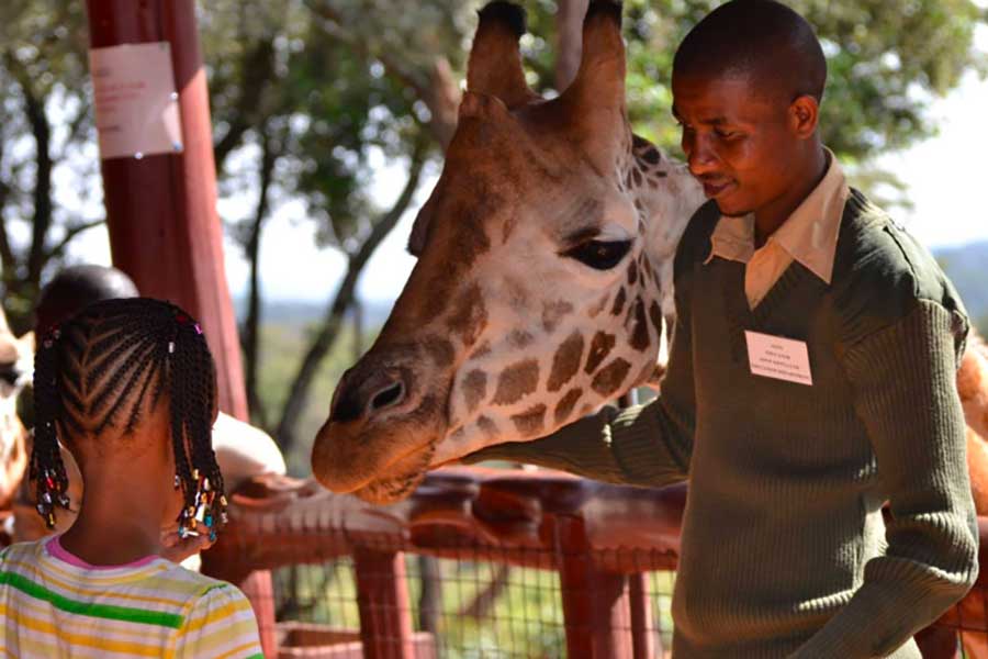 Giraffe centre