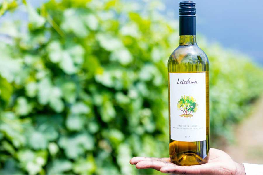 Leleshwa vineyard